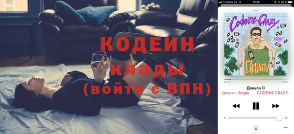 мдпв Александровское