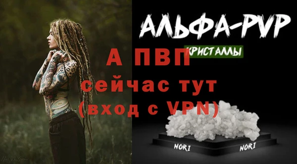 Альфа ПВП Калининец