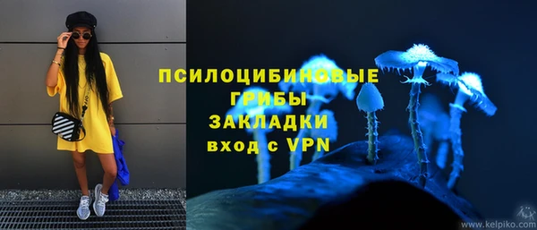МДПВ Нестеровская