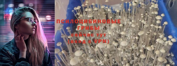 МДПВ Нестеровская